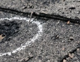 Hail impact bruising on architectural shingles